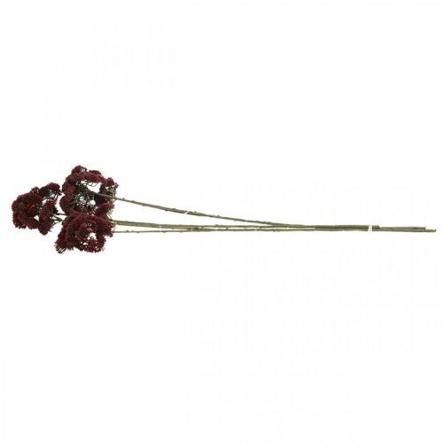 Floristik24 Sedum kunstmatige rode muurpeper herfstdecoratie 70cm 3st