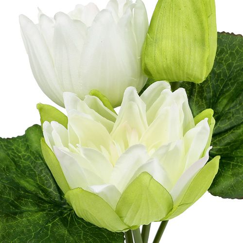 Floristik24 Kunstmatige waterlelies wit 35cm
