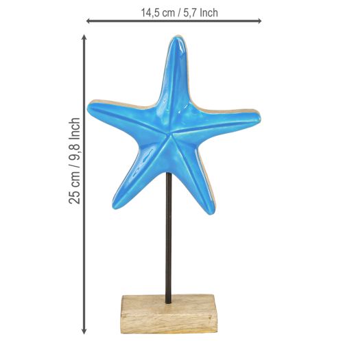 Artikel Zeester decoratie op voet maritiem natuurlijk blauw hout H25cm