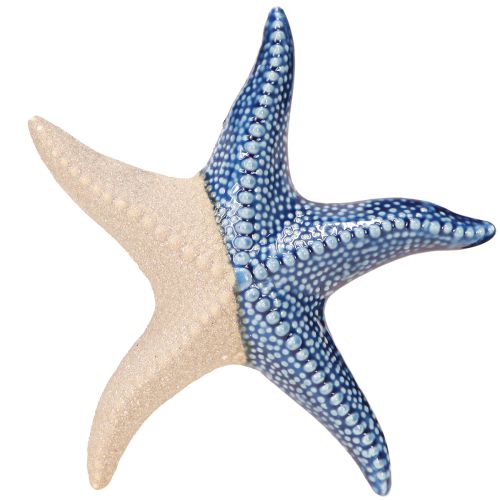Artikel Zeester Porselein Zandblauw Tafeldecoratie Maritiem Ø15cm 2st
