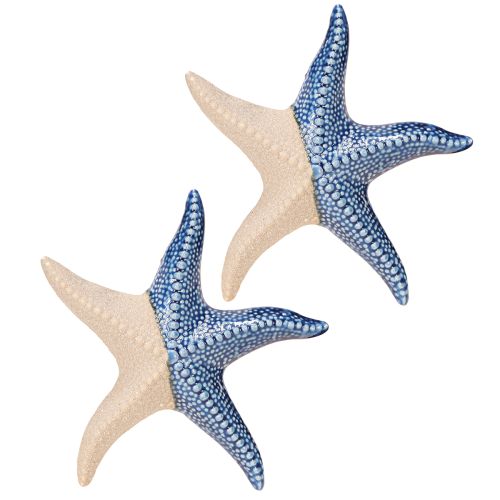 Artikel Zeester Porselein Zandblauw Tafeldecoratie Maritiem Ø15cm 2st