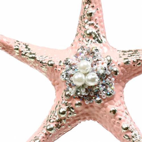 Floristik24 Decoratiehanger zeester 12cm 3st