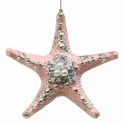 Floristik24 Decoratiehanger zeester 12cm 3st
