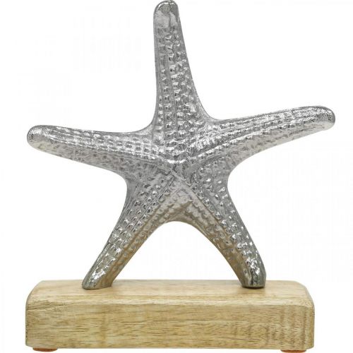 Floristik24 Metalen zeester, maritieme decoratie, decoratieve sculptuur zilver, natuurlijke kleuren H18cm