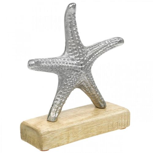 Floristik24 Metalen zeester, maritieme decoratie, decoratieve sculptuur zilver, natuurlijke kleuren H18cm