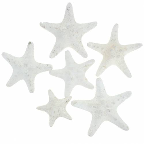 Artikel Knoppen zeester wit 30st