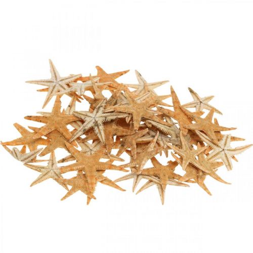 Artikel Zeester strooidecoratie home deco mini zeester natuur 2-4cm 50st