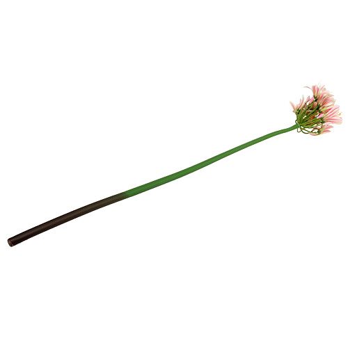 Floristik24 Zijden bloem agapanthus roze 80cm