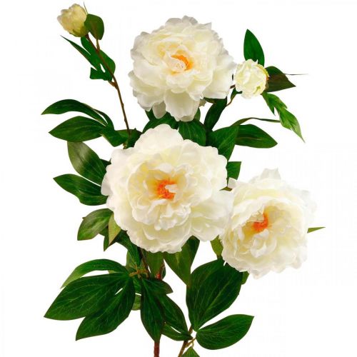 Artikel Zijden bloem pioen kunst crème wit 135cm
