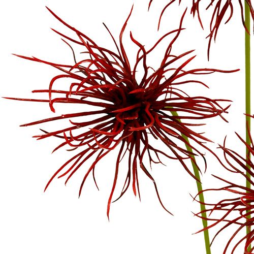 Floristik24 Zijden bloemen Xanthium Bordeaux 64cm 4st
