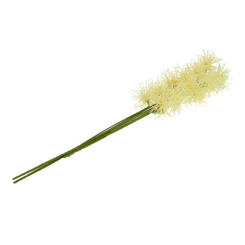 Floristik24 Zijden bloemen xanthium creme 63cm 4st