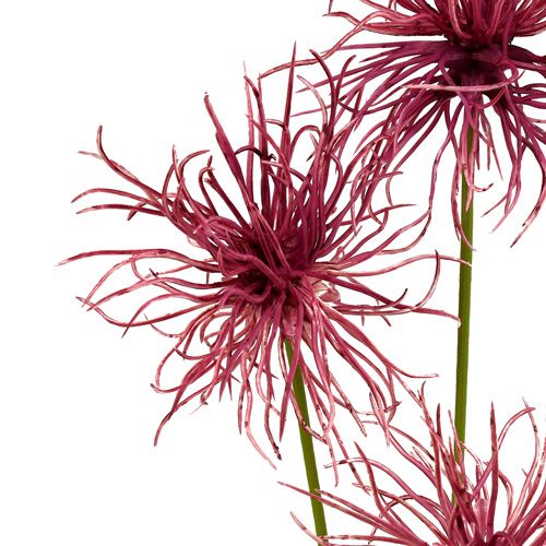 Artikel Zijden bloemen Xanthium erika 63cm 4st