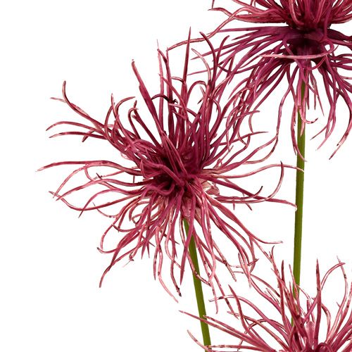Floristik24 Zijden bloemen Xanthium erika 63cm 4st