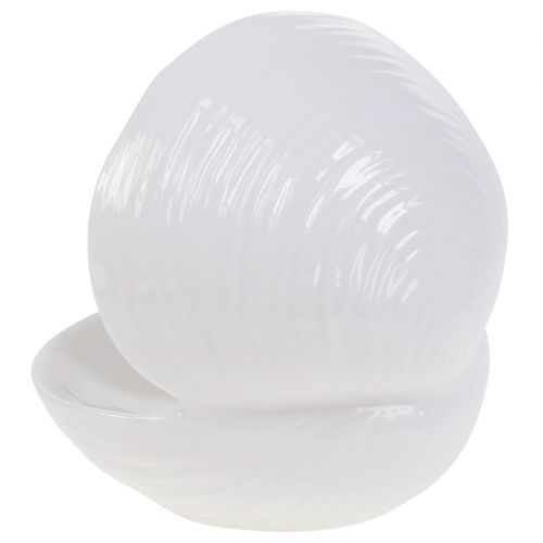 Floristik24 Zeepbakje schelp 12cm x 10,5cm x 11cm wit