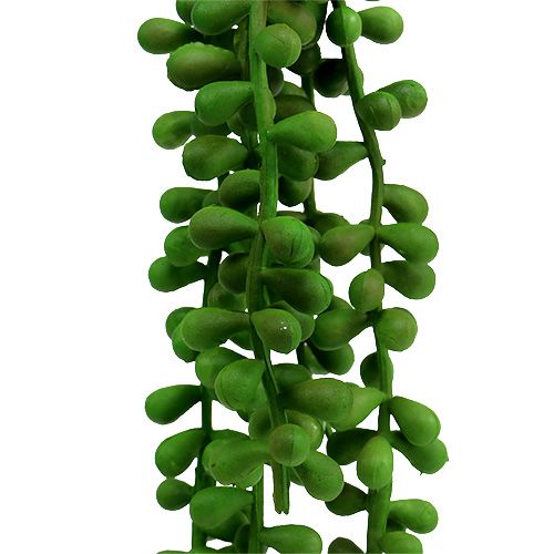 Floristik24 Senecio hanger 36cm groen