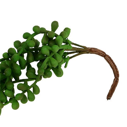 Floristik24 Senecio hanger 36cm groen