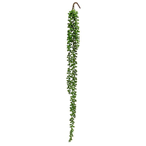 Floristik24 Senecio hanger 75cm groen