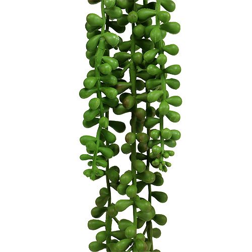 Floristik24 Senecio hanger 75cm groen