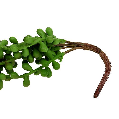 Floristik24 Senecio hanger 75cm groen