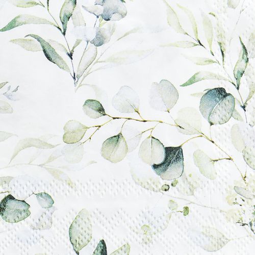 Floristik24 Servetten eucalyptus decoratieve tafeldecoratie wit 25x25cm 20 st