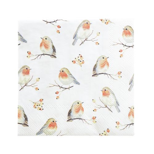 Floristik24 Servetten Herfst Robin Rozenbottels 25x25cm 20 st