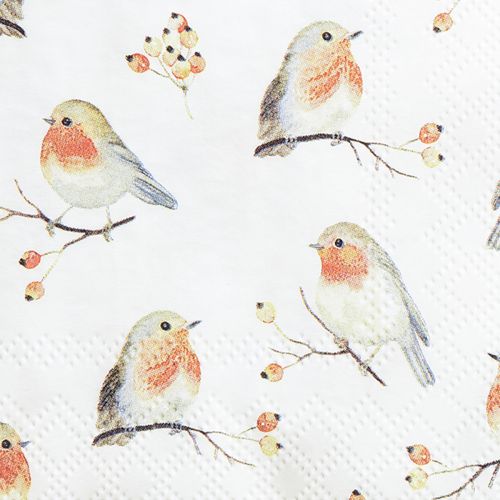Floristik24 Servetten Herfst Robin Rozenbottels 25x25cm 20 st