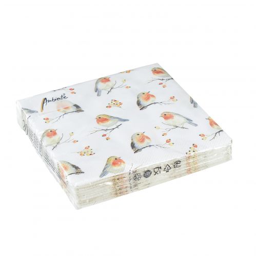 Floristik24 Servetten Herfst Robin Rozenbottels 25x25cm 20 st