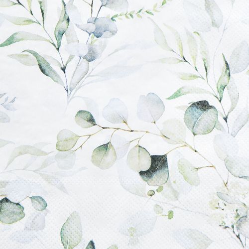 Floristik24 Servetten motief eucalyptus wit groen 33x33cm 20 st