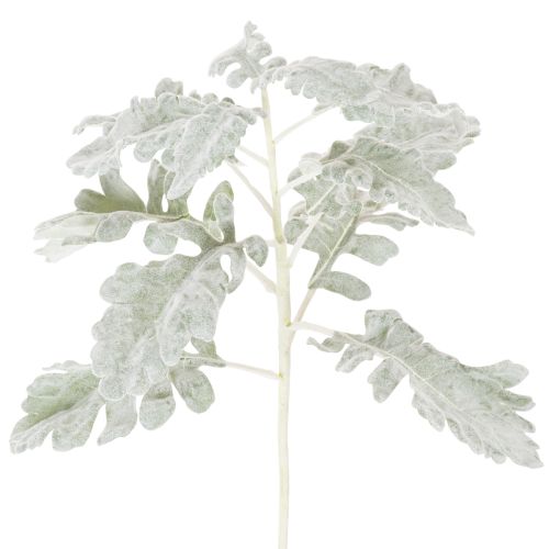 Kunstmatige Senecio-tak, zilverblad, fijn bewerkt, 45 cm, 3 stuks kopen | Floristik24.nl