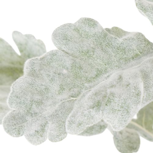 Kunstmatige Senecio-tak, zilverblad, fijn bewerkt, 45 cm, 3 stuks | Floristik24.nl