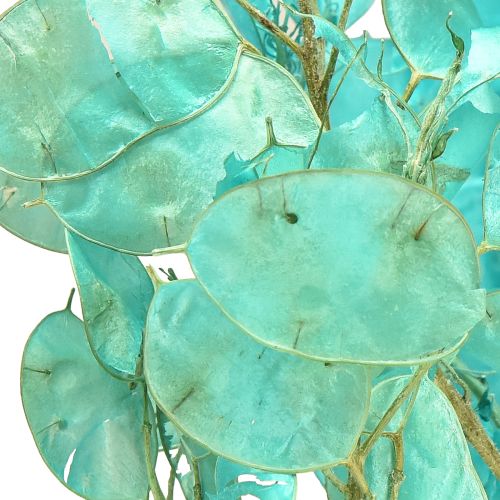 Artikel Zilverblad gedroogd maanviooltje Lunaria lichtblauw 65-70cm 20g
