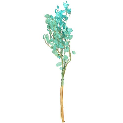 Artikel Zilverblad gedroogd maanviooltje Lunaria lichtblauw 65-70cm 20g