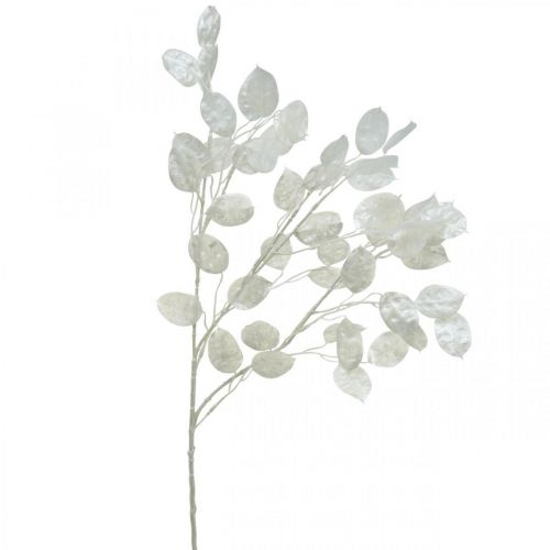 Floristik24 Siertak bladzilver wit Lunaria kunsttak 70cm