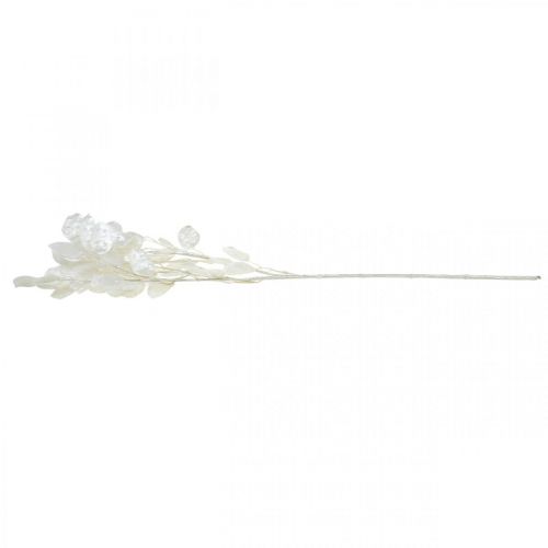 Floristik24 Siertak bladzilver wit Lunaria kunsttak 70cm
