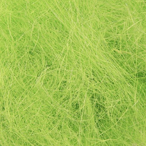 Artikel Sisal lentegroen siergras 300g