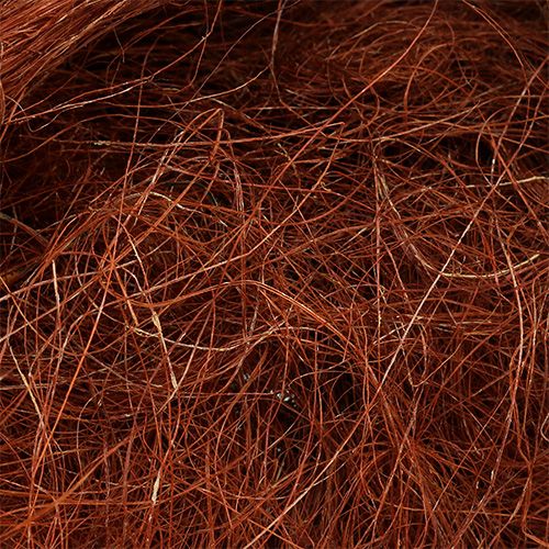 Floristik24 Sisal koper 250g