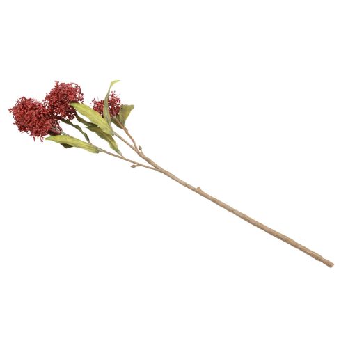 Artikel Skimmie Skimmia Japonica Kunstbloemen Bordeaux DryLook L59cm