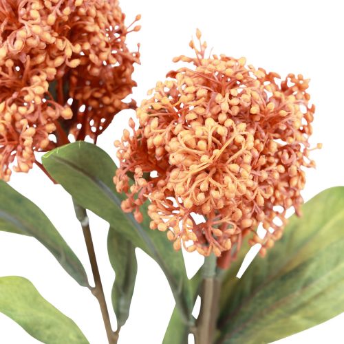 Artikel Skimmie Skimmia Japonica Kunstbloemen Oranje DryLook L59cm