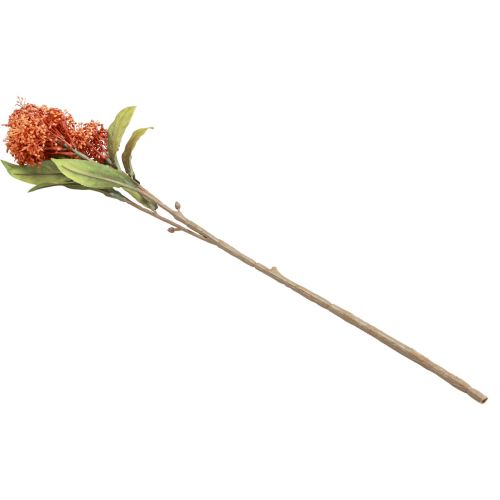 Artikel Skimmie Skimmia Japonica Kunstbloemen Oranje DryLook L59cm