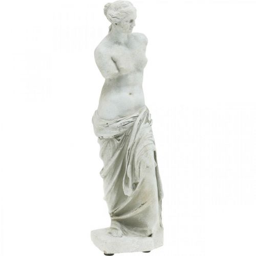 Floristik24 Venusbeeld decoratieve sculptuur H29cm grijsbruin sierfiguur tuin