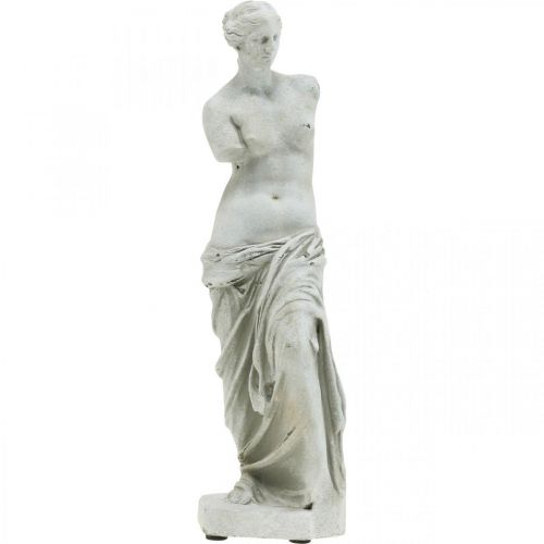 Floristik24 Venusbeeld decoratief beeld H29cm grijsbruin decoratief figuur tuin