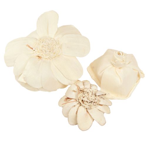 Artikel Sola Flowers Hout Houten Bloemen Decoratie Mix Crème 6-11cm 12-15 st