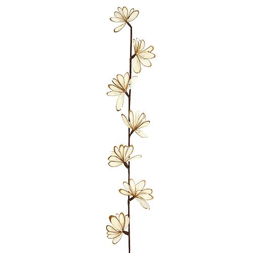 Floristik24 Sola Chips Sunny Stick Bruin, Wit 6 st.