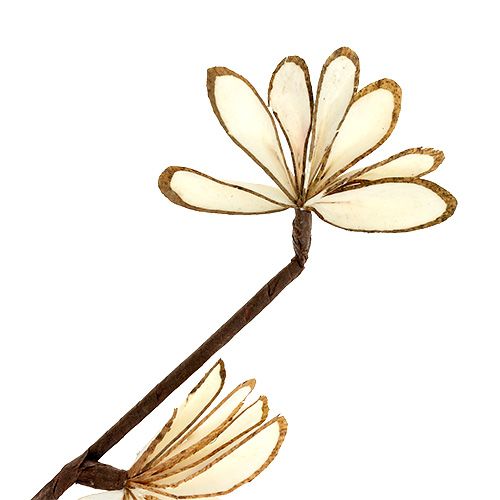 Floristik24 Sola Chips Sunny Stick Bruin, Wit 6 st.