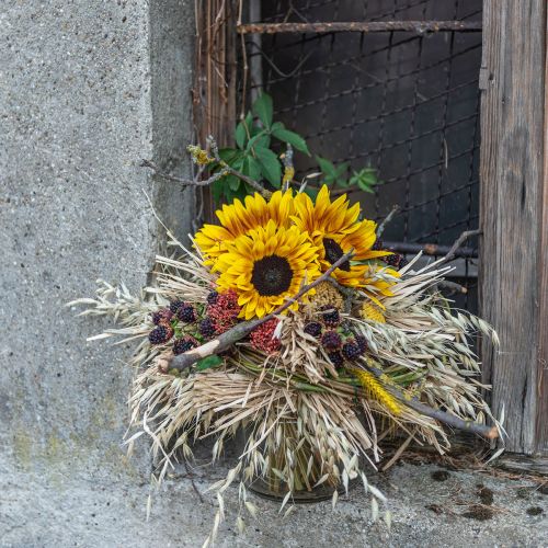 Floristik24 Zonnebloemstruik 40cm
