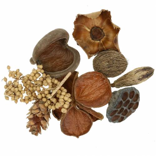 Floristik24 Exotisch assortiment met strobus kegels natuur 300g