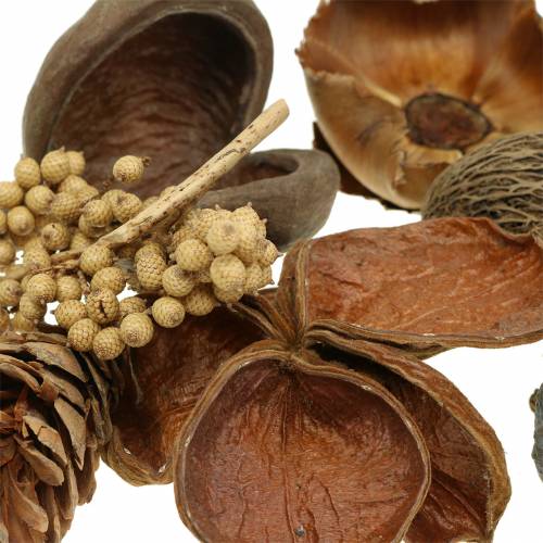 Floristik24 Exotisch assortiment met strobus kegels natuur 300g