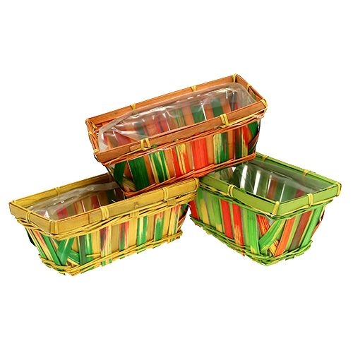Floristik24 Frietmandenset vierkant veelkleurig 20cm x 11cm 12 stuks