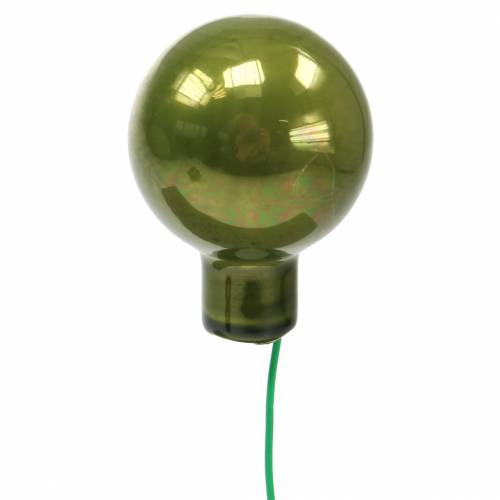 Floristik24 Kerstdecoratie spiegel bessen groen Ø2.5cm 140st