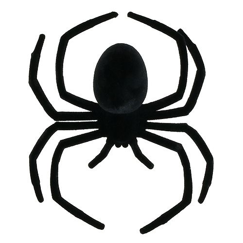 Floristik24 Spin zwart 16cm gevlokt